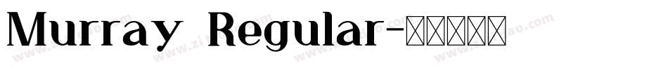 Murray Regular字体转换